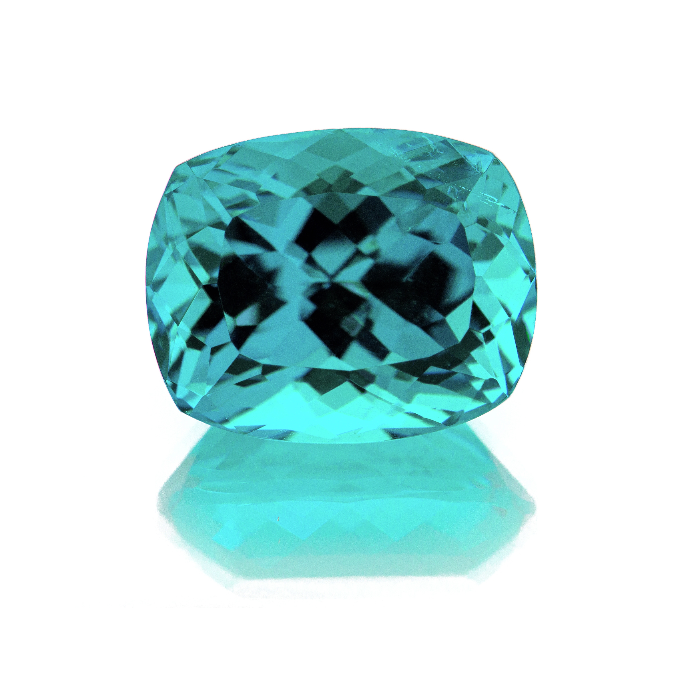 I1816 Paraiba 11x8 9 Cush 5 16cts IASXX